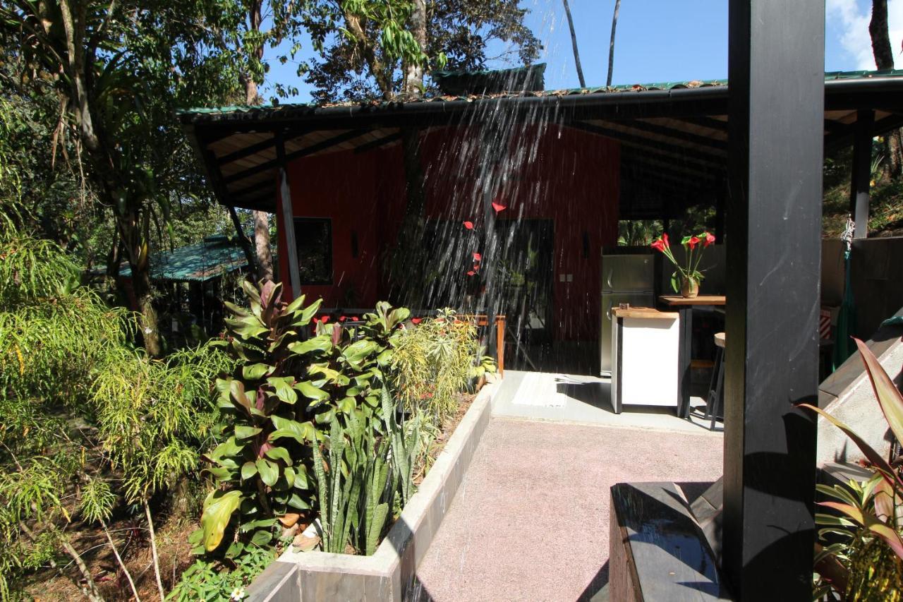 Oasis De Las Palmas โอเฆชาล ภายนอก รูปภาพ